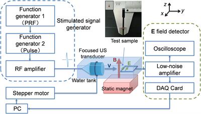 High-Resolution Transcranial Electrical Simulation for Living Mice Based on Magneto-Acoustic Effect